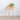 *Display Table